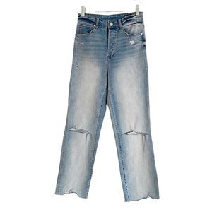 Blank NYC the Baxter ribcage straight leg distressed button fly jeans size 26